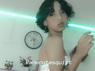 Vanecutesquirt