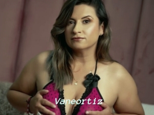 Vaneortiz