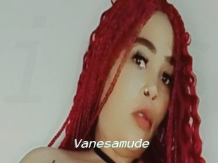 Vanesamude