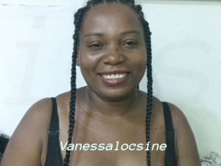 Vanessalocsine