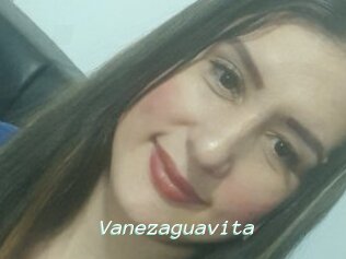 Vanezaguavita