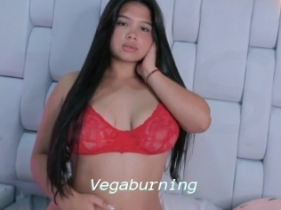 Vegaburning