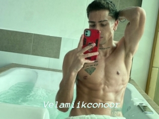 Velamiikconoor