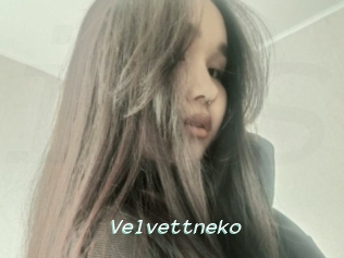 Velvettneko