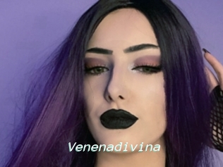 Venenadivina