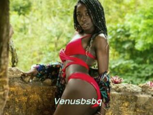 Venusbsbq