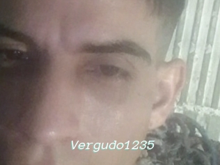 Vergudo1235