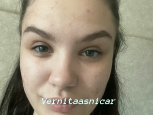 Vernitaasnicar