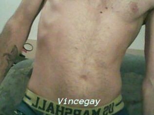 Vincegay