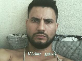 Vldmr_gaus