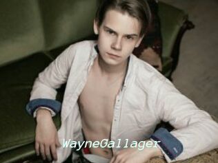 WayneGallager