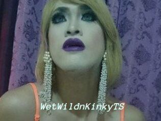 WetWildnKinkyTS