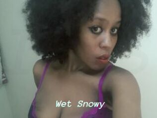Wet_Snowy