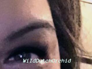 WildDutchOrchid