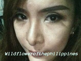 Wildflowerofthephilippines