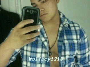 Wolfboy1213