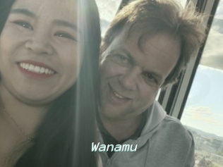 Wanamu