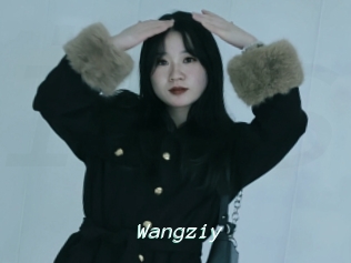 Wangziy