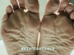 Welshbustyava