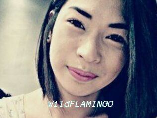 WildFLAMINGO