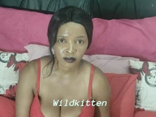 Wildkitten