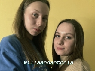 Willaandantonia