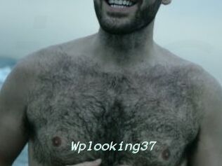 Wplooking37
