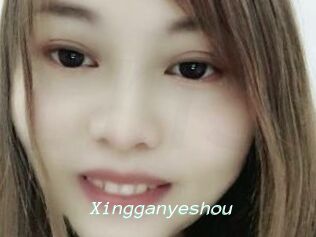Xingganyeshou