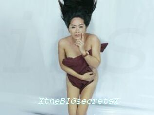 XtheBIGsecretsX