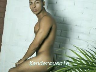Xandermuscle