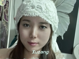 Xuzang
