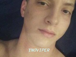 YNGVIPER