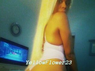 YellowFlower23