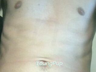 YoungPup