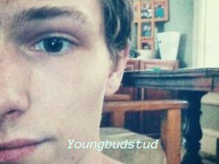 Youngbudstud
