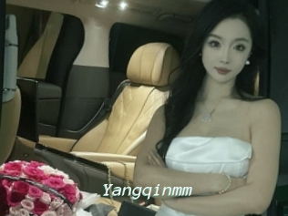 Yangqinmm