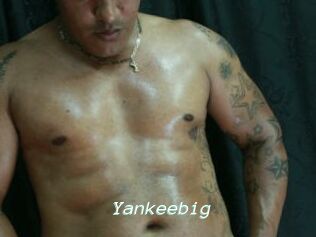 Yankeebig