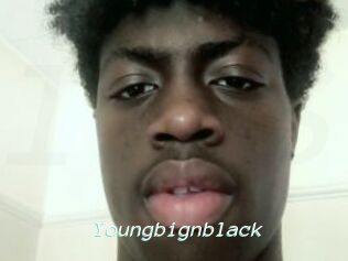 Youngbignblack