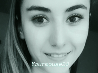 Yourmouse23