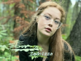 Zadnizza