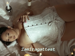 Zamiragattest