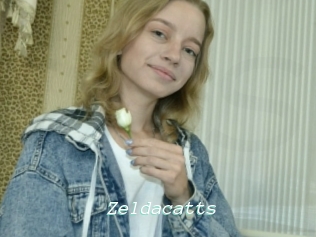 Zeldacatts