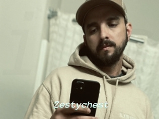 Zestychest